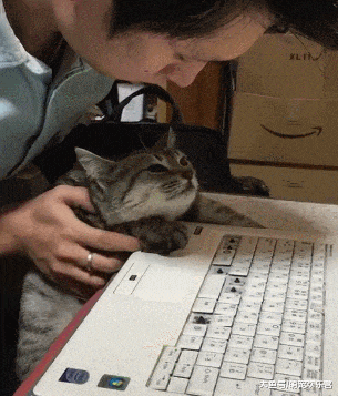 猫咪破坏主人键盘, 表情: 我凭本事抠的, 我没错!