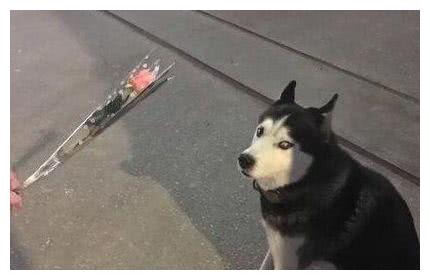 搞笑图片幽默段子笑话:老板,优惠1分钱你也敢说是惊爆