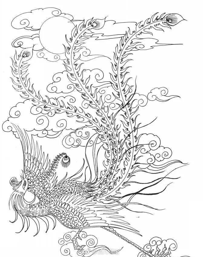 凤凰涅磐,浴火重生,其音更清,其羽更丰,其神更髓.