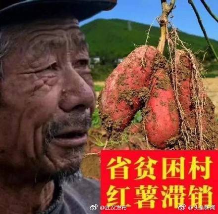 "滞销大爷"照片被滥用 商家:看他好拉生意[摊手]