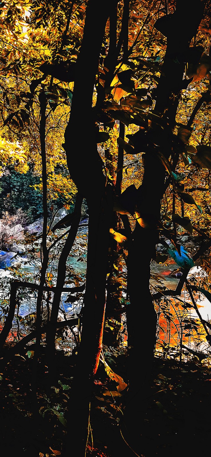 17幅超高清美图,表现壮阔的大自然,适合做iphone xs max的壁纸