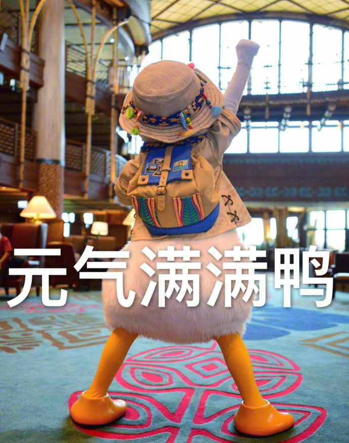 元气满满鸭! !
