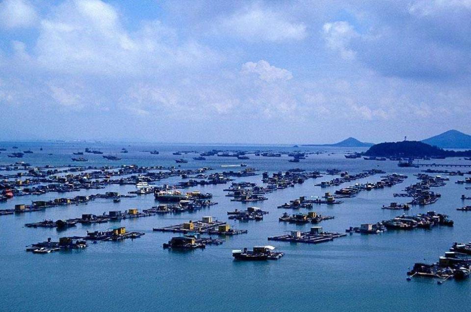 江门gdp什么时候超过中山_江门2020年GDP反超中山!江门未来的4大优势