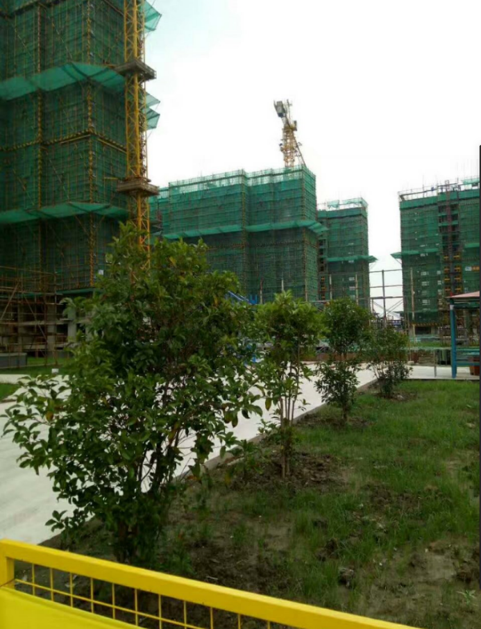 创新节约的绿色理念如何让工地变花园