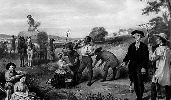 黑奴贸易中，为何漂亮的混血女黑奴最受欢迎，售价也最高?