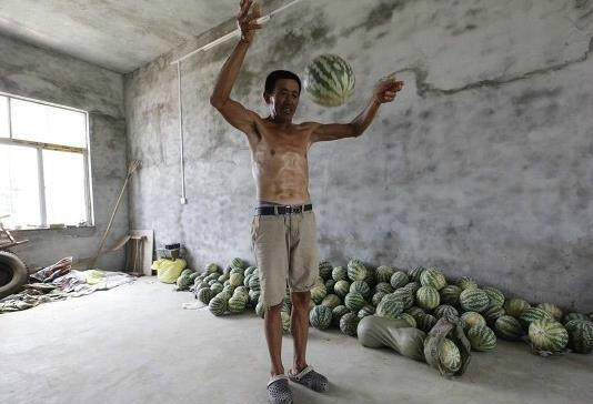 世上最奇葩的西瓜,图1无人敢吃,图2舍不得吃,图