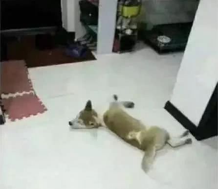 内涵段子:光头以后再也没有人叫我胖子了,都叫