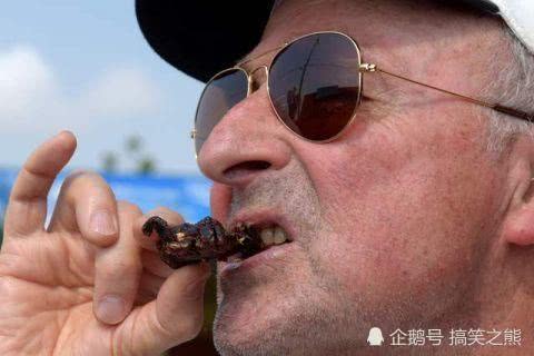 恐怖美食油炸毒蜘蛛被吃到快绝种!柬埔寨吃货