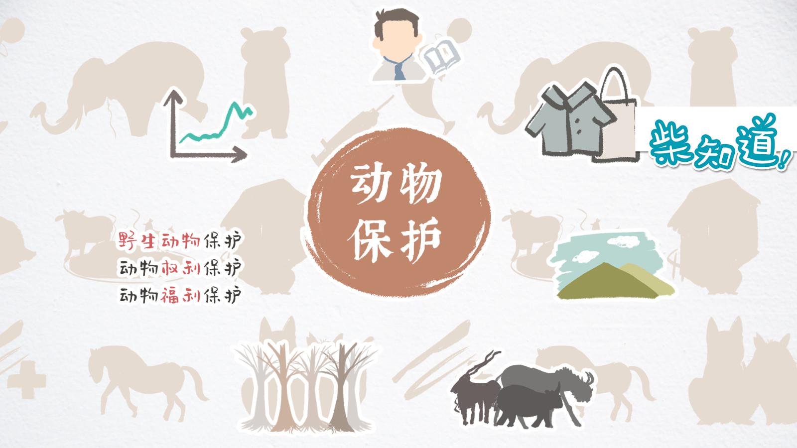 什么是动物保护主义?你知道还远远不够