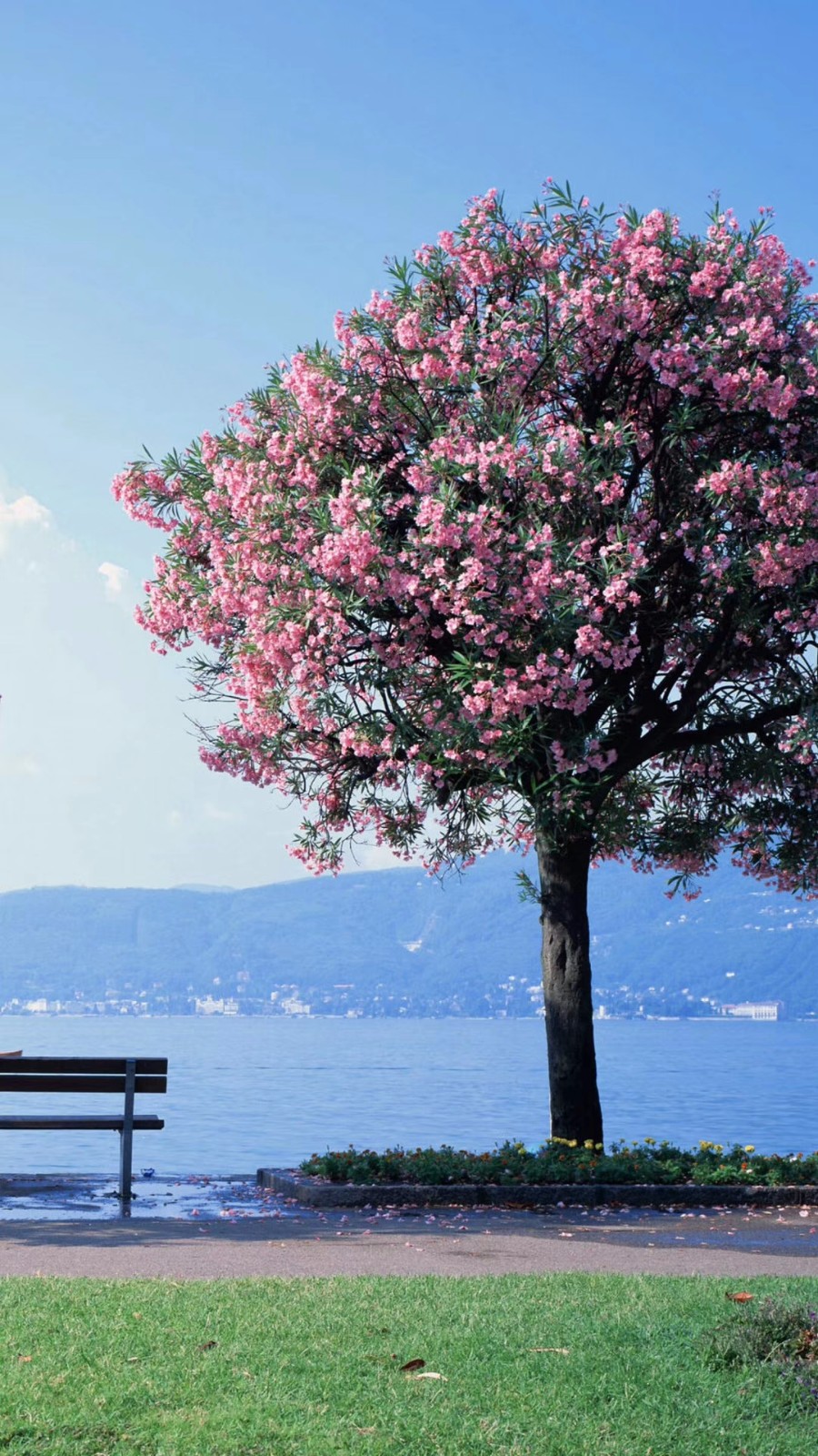 搞笑幽默话题--冷笑话精选!