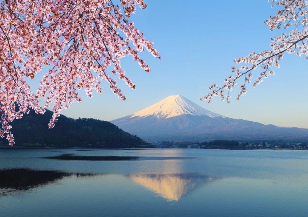 想去日本富士山旅游? 看完这些你就不想去了