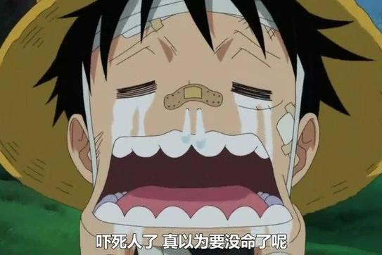 海贼王:海贼中这些表情包真的很搞笑，让你笑的停不下来!