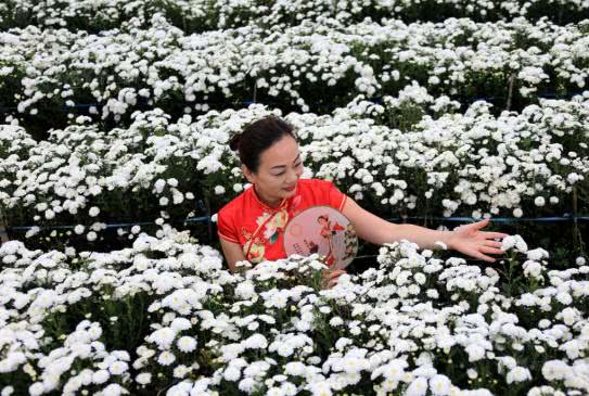 清明赏花的宜宾嬢嬢些，你们妖娆的纱巾美到我了！