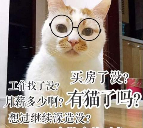 晋嫣CP大婚,我为什么还是一个人