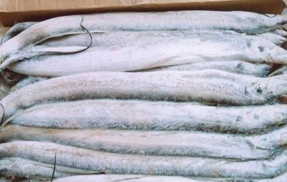 冻带鱼怎么处理