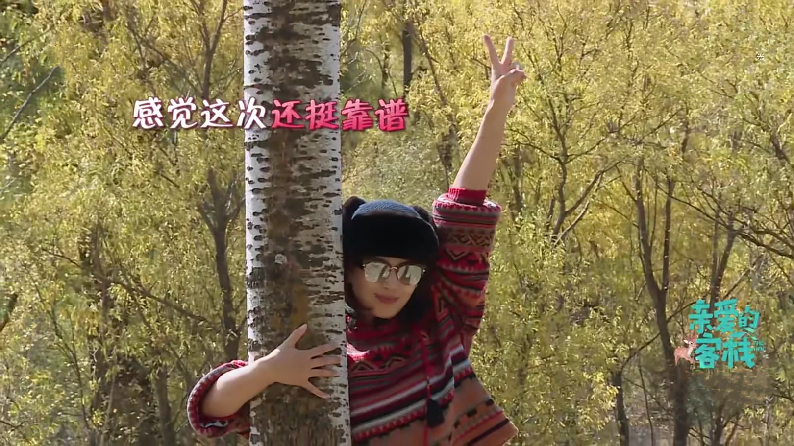 王珂再次为刘涛拍照,直男拍照技术逗乐观众,网