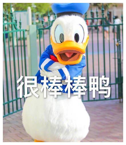 最近很火的鸭鸭表情包:元气满满鸭,很棒棒鸭,一只成精