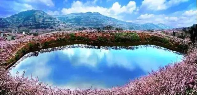 四川最发达5个市区