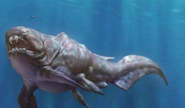 泥盆纪10大最恐怖的生物, 第一地球史上最凶猛, 第六现在还存活着