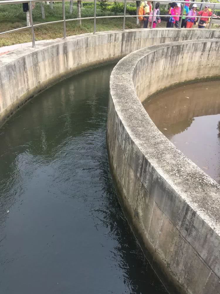 在处理池里翻滚流动着,真的不可以想象它有那么脏啊,浑浊不堪还油腻