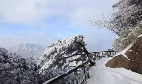 风对雾 雪对霜，冬景四绝已齐，快来三清山营地温茶煮酒迎知己