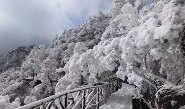 风对雾 雪对霜，冬景四绝已齐，快来三清山营地温茶煮酒迎知己