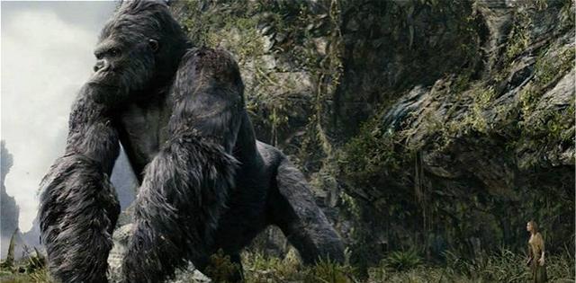 扒一扒网络小说中的炼体功法,好多主角施展的