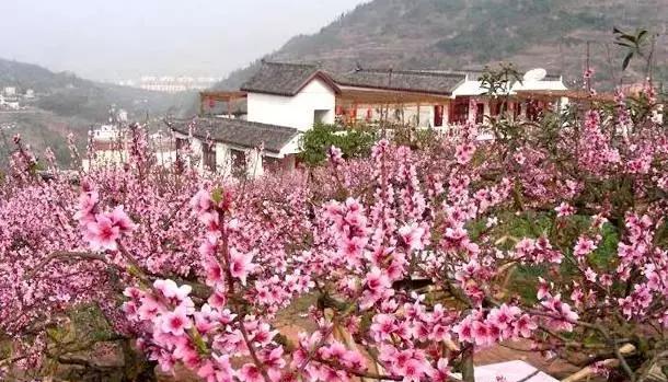 四川最发达5个市区