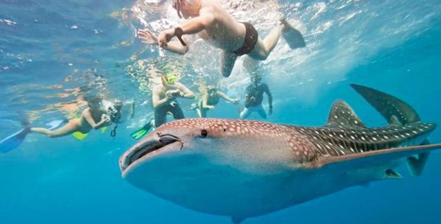 菲律宾旅游还能去吗?菲律宾有什么好玩的地方