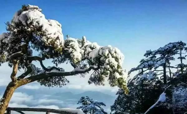 风对雾 雪对霜，冬景四绝已齐，快来三清山营地温茶煮酒迎知己