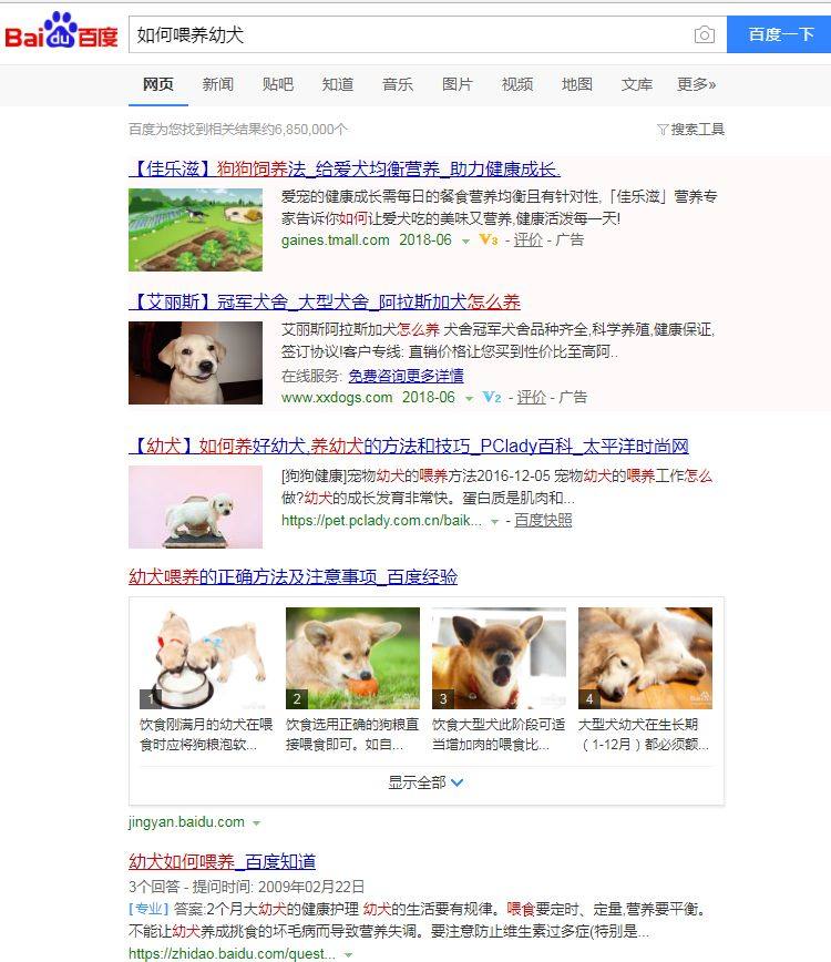 为什么你总把狗养死？答案全在这了