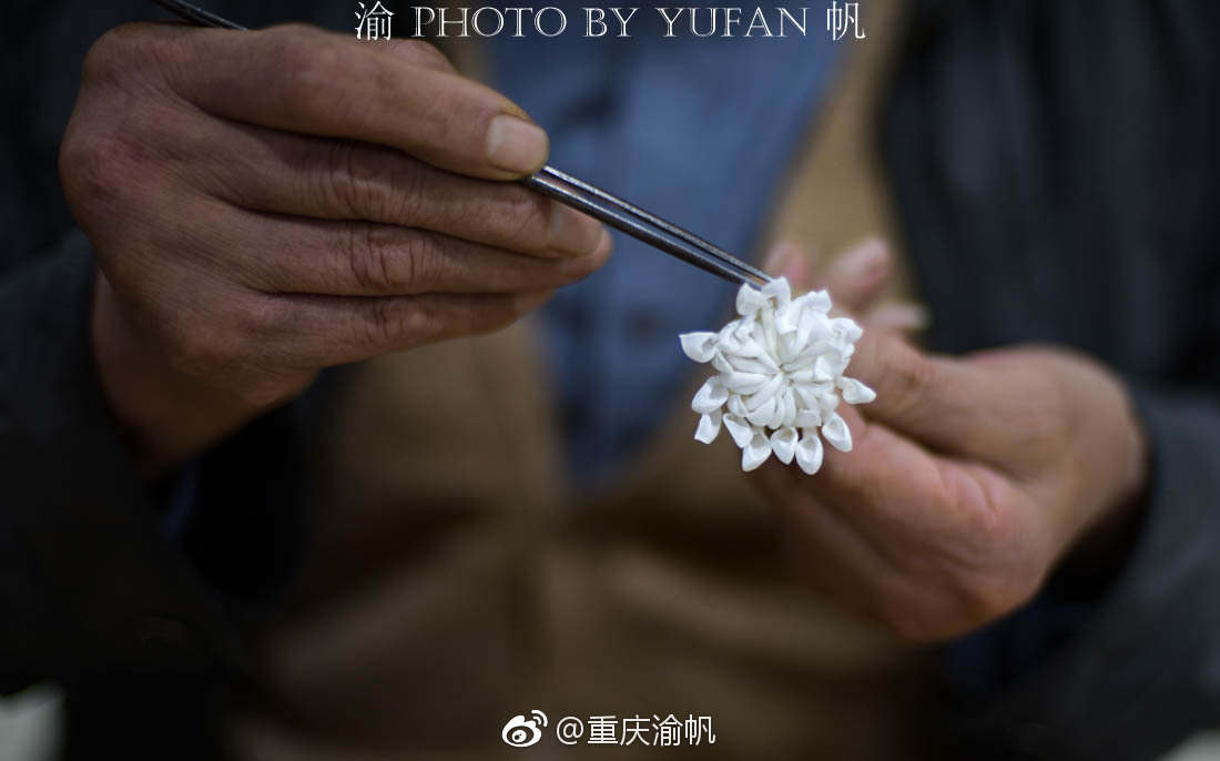 扬州通草花