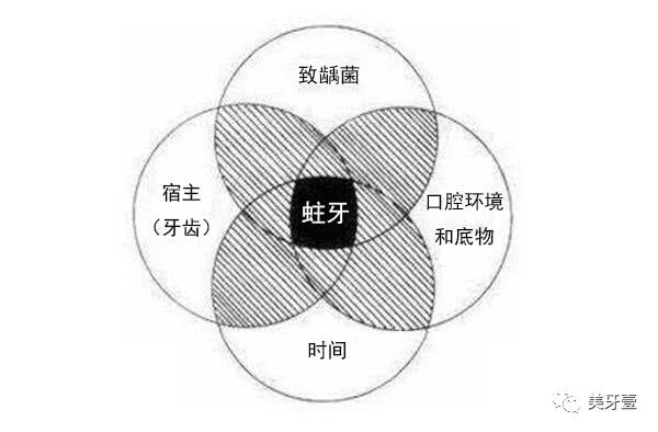 520我爱你,可是接吻会把蛀牙传染给你吗?