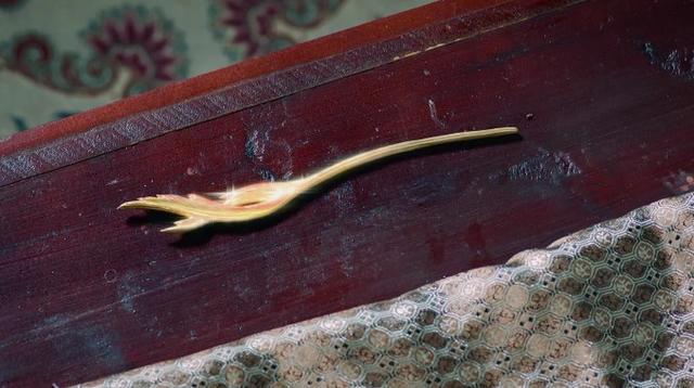 《香蜜》旭凤送锦觅的寰谛凤翎究竟是什么?为何还可以救命?