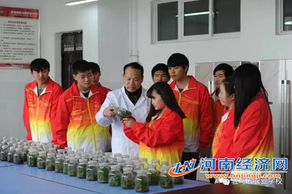 中考失利后如何规划人生 有志学子选择驻马店