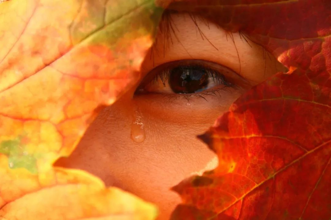 心理测试:你第一眼看到什么,测你是什么性格的