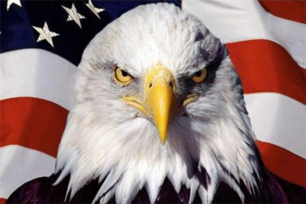 为什么美国总是对外发动战争,都快打仗成瘾了