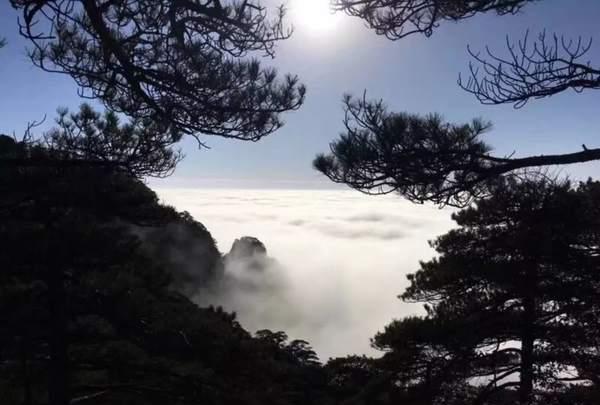 风对雾 雪对霜，冬景四绝已齐，快来三清山营地温茶煮酒迎知己