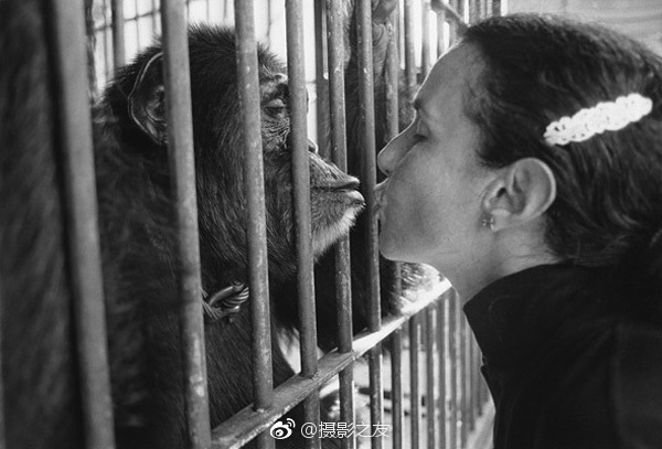 人与野兽,马戏团里的故事 | Mary Ellen Mark