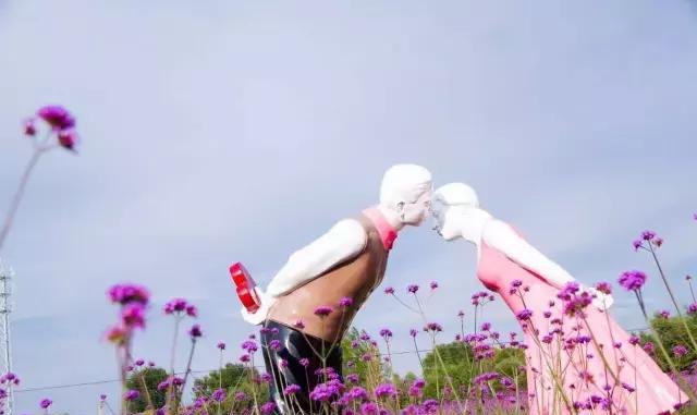 国庆长假,兰州永登越国开心农场花世界美出新