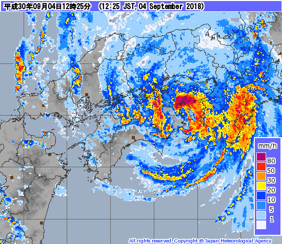 飞燕已登陆日本德岛,罕见地直冲神户!