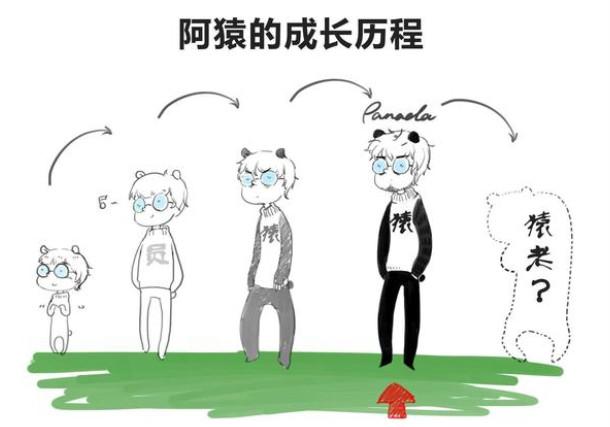 IT行业的工程岗是否可以干一辈子?程序员们都