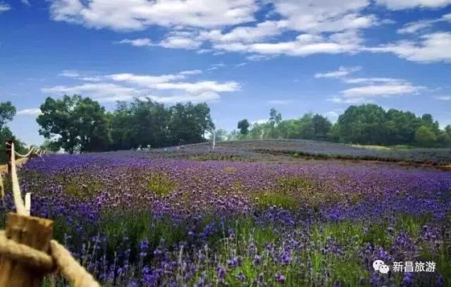 去新昌这七个村落，邂逅最美“村”色！