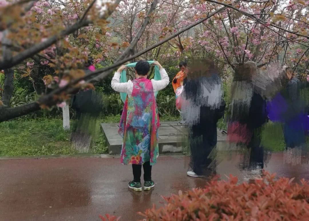 清明赏花的宜宾嬢嬢些，你们妖娆的纱巾美到我了！