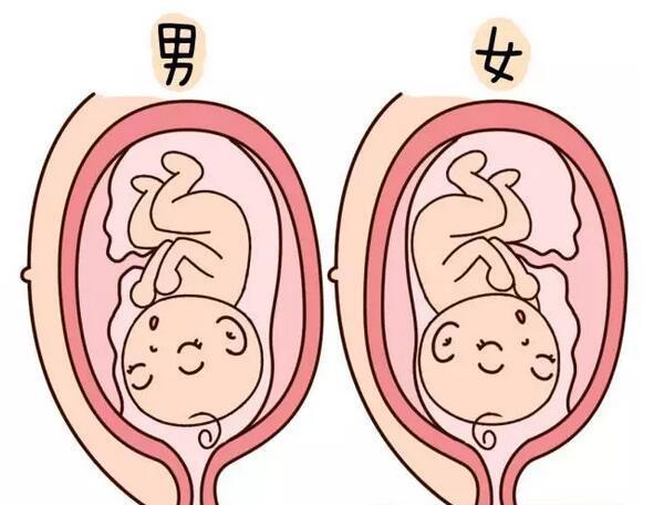 孕妇看了才安心