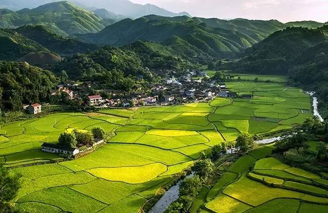通道县坪坦乡横岭村总人口
