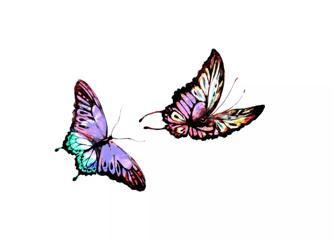趣味测试:哪两只蝴蝶会成为情侣,测你和喜欢的人在一起几率多大