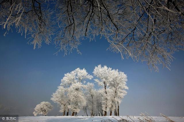 旅游风景:雾凇岛,迷人的雾凇美景,冰天雪地原来可以这么好看
