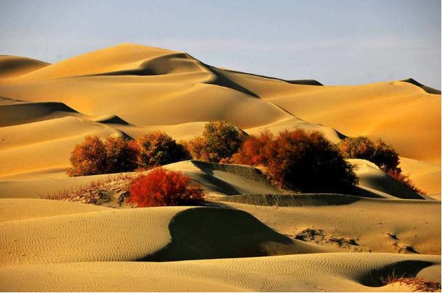 中国最美的五大沙漠，塔克拉玛干沙漠腹地，鸣沙山月牙泉，景美
