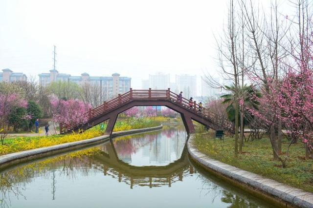 春到洛阳隋唐植物园,春雨滋润大地,正是踏青的好时节